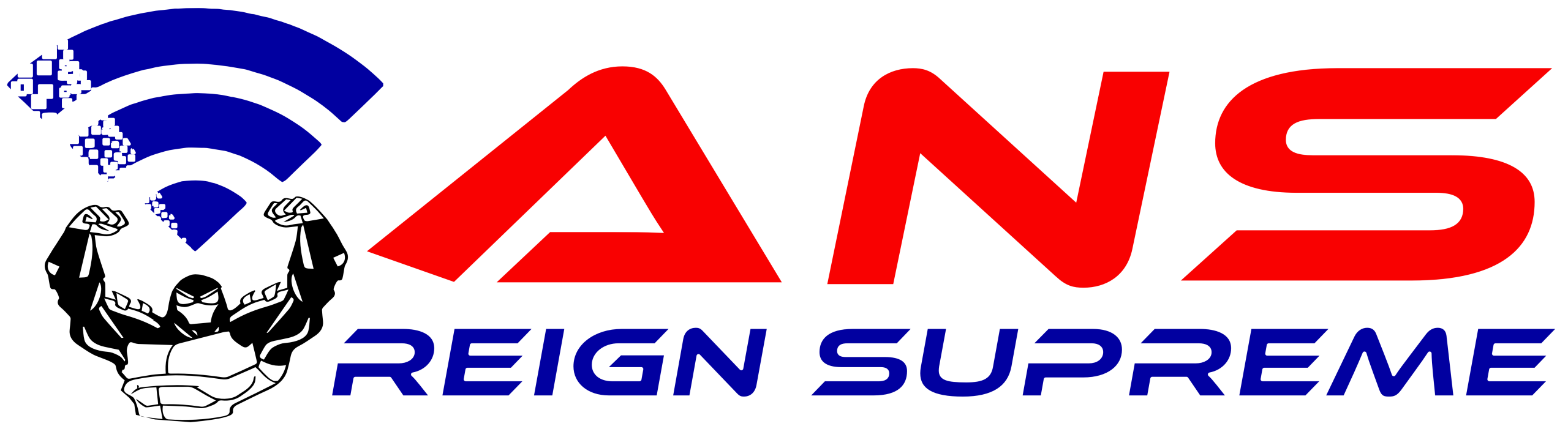 Advanced Network Solutions